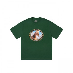 Palace Equestrian Berry T-shirts | JLKF-35280