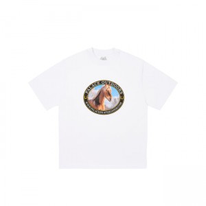 Palace Equestrian T-shirts | DVQB-27589