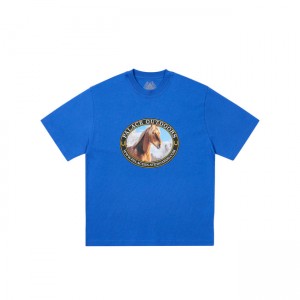 Palace Equestrian T-shirts | JVPH-56237