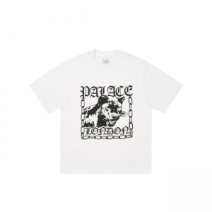 Palace Panther Berry T-shirts | WRLT-84326