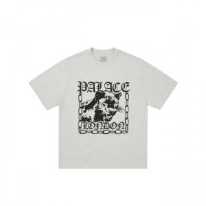 Palace Panther T-shirts | BDHU-08134