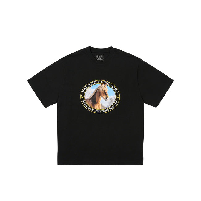 Palace Equestrian Racey T-shirts | WPSH-12398