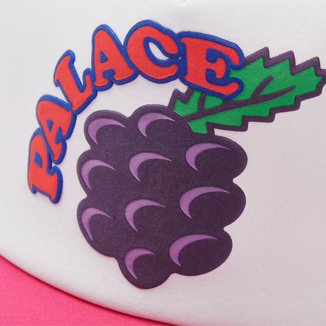 Palace Grape Trucker Hats | GULB-78493