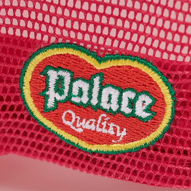 Palace Grape Trucker Hats | GULB-78493