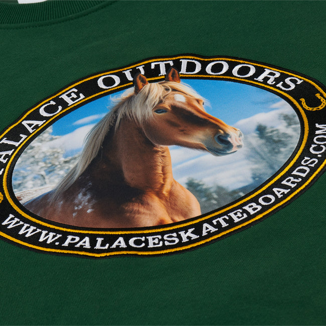 Palace Outdoors Crew Racey Sweatshirts | SHIK-18756