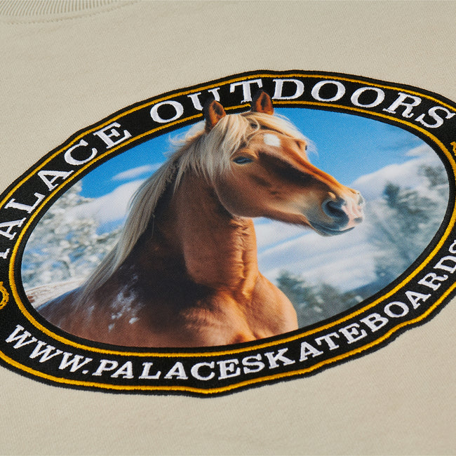 Palace Outdoors Crew Stoney Sweatshirts | KODI-07963