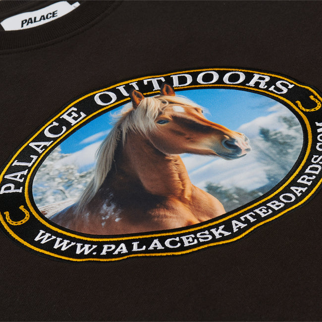 Palace Outdoors Crew Sweatshirts | JGYL-21609