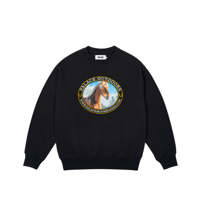 Palace Outdoors Crew Sweatshirts | JGYL-21609