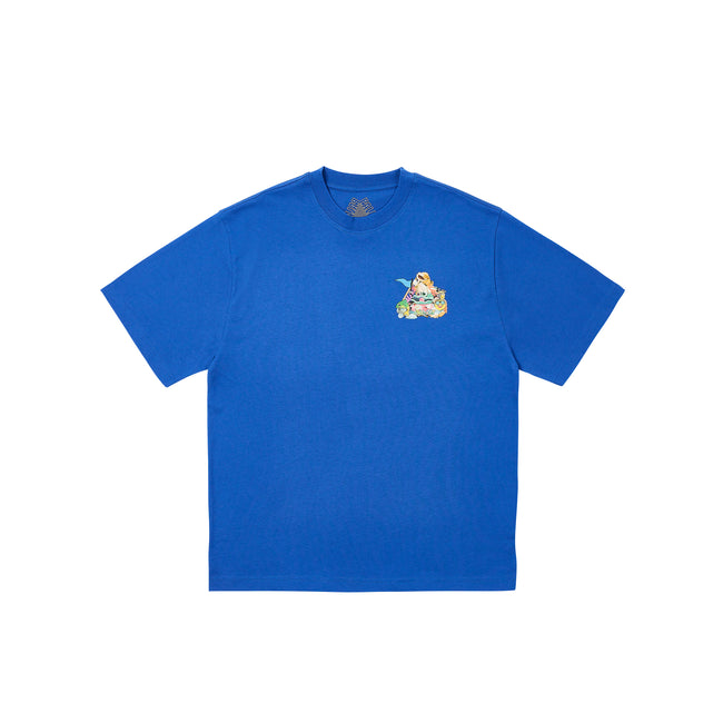 Palace P Sea Berry T-shirts | GNFX-03175